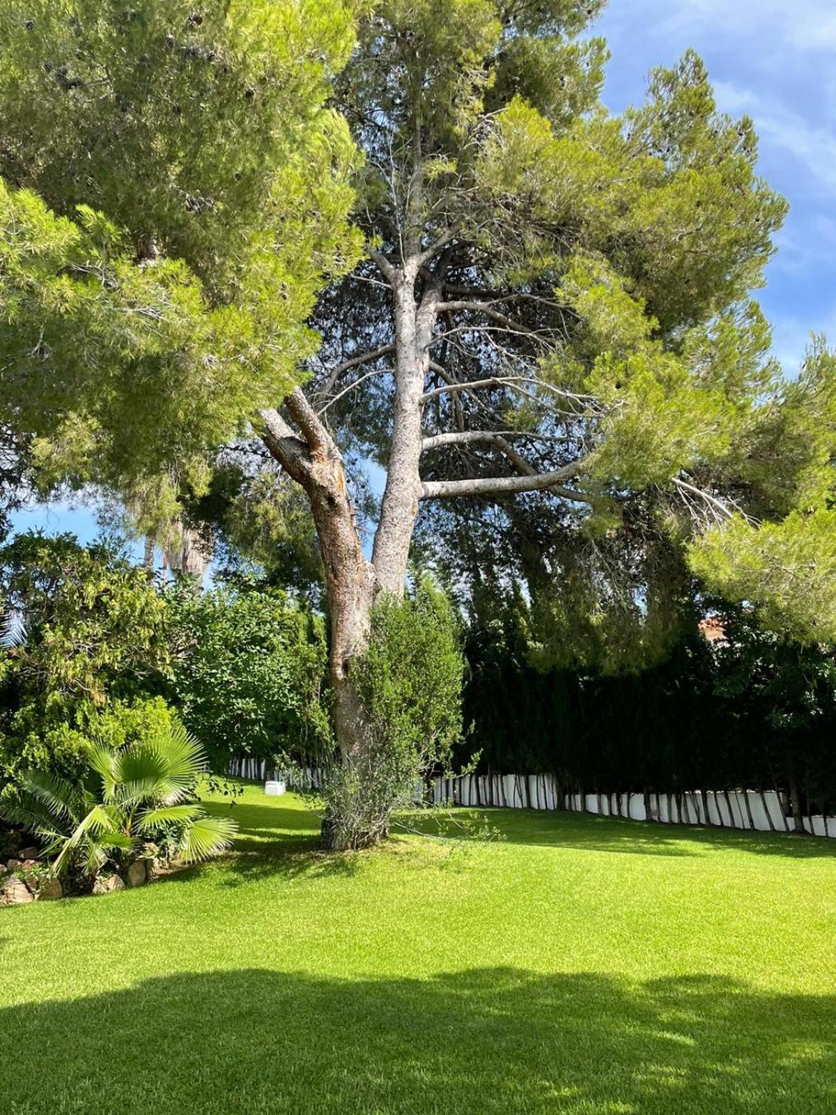Casa mediterránea con gran jardín y piscina a 500 m de la playa Roda de Berà  Exterior foto